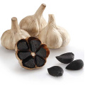 Fast Supply Organic Black Garlic Price